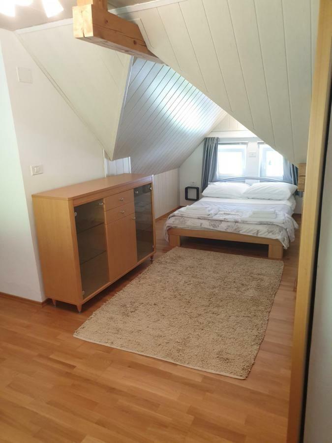 Apartman Irvin 크라니스카고라 외부 사진