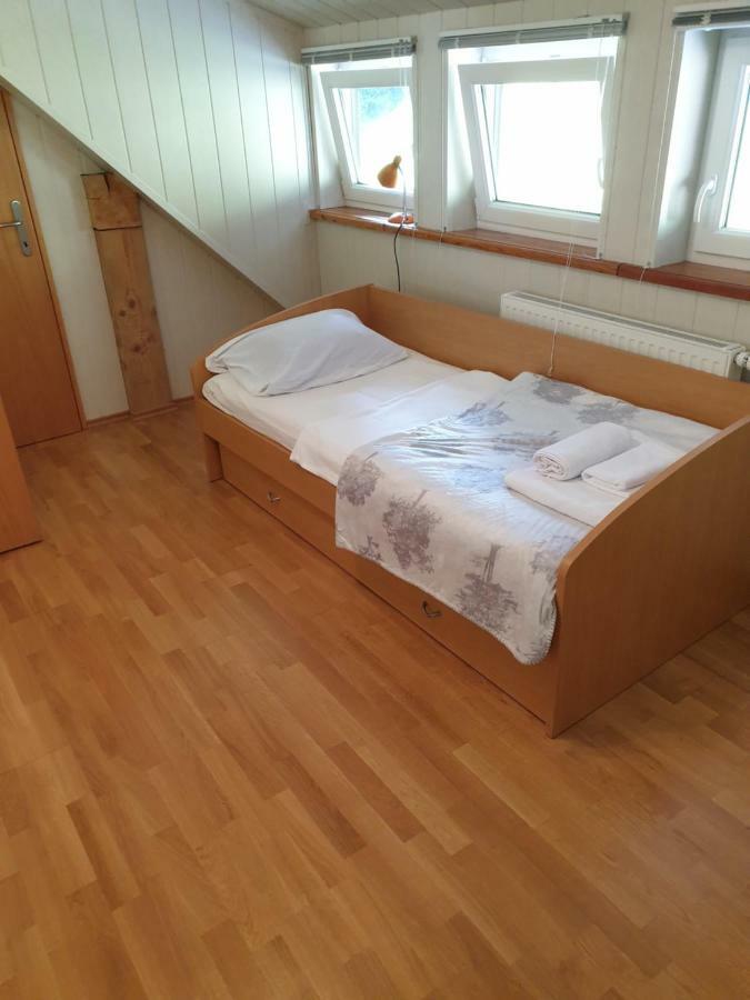 Apartman Irvin 크라니스카고라 외부 사진